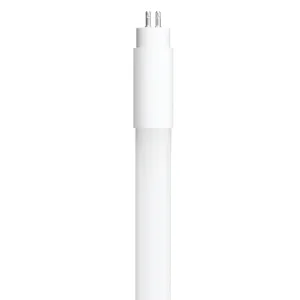 12 in. 8W Replacement Daylight Deluxe (6500K) G5 Base (T5 Replacement) Direct Replacement (Type A) LED Linear Tube