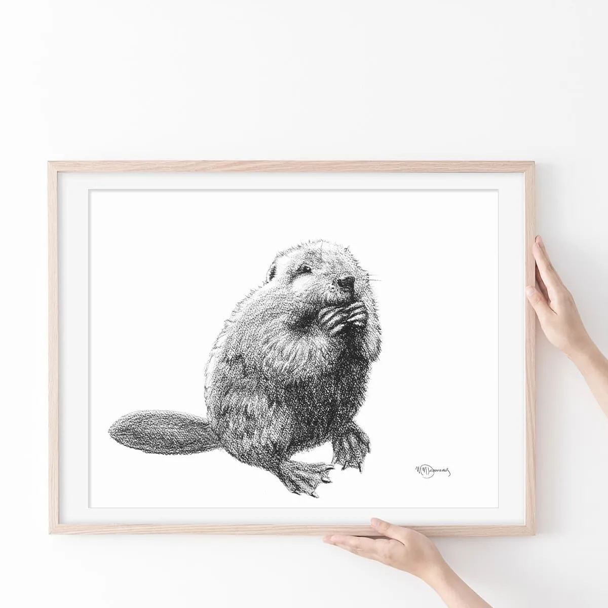 Beaver Illustration - "Social Animal" Collection