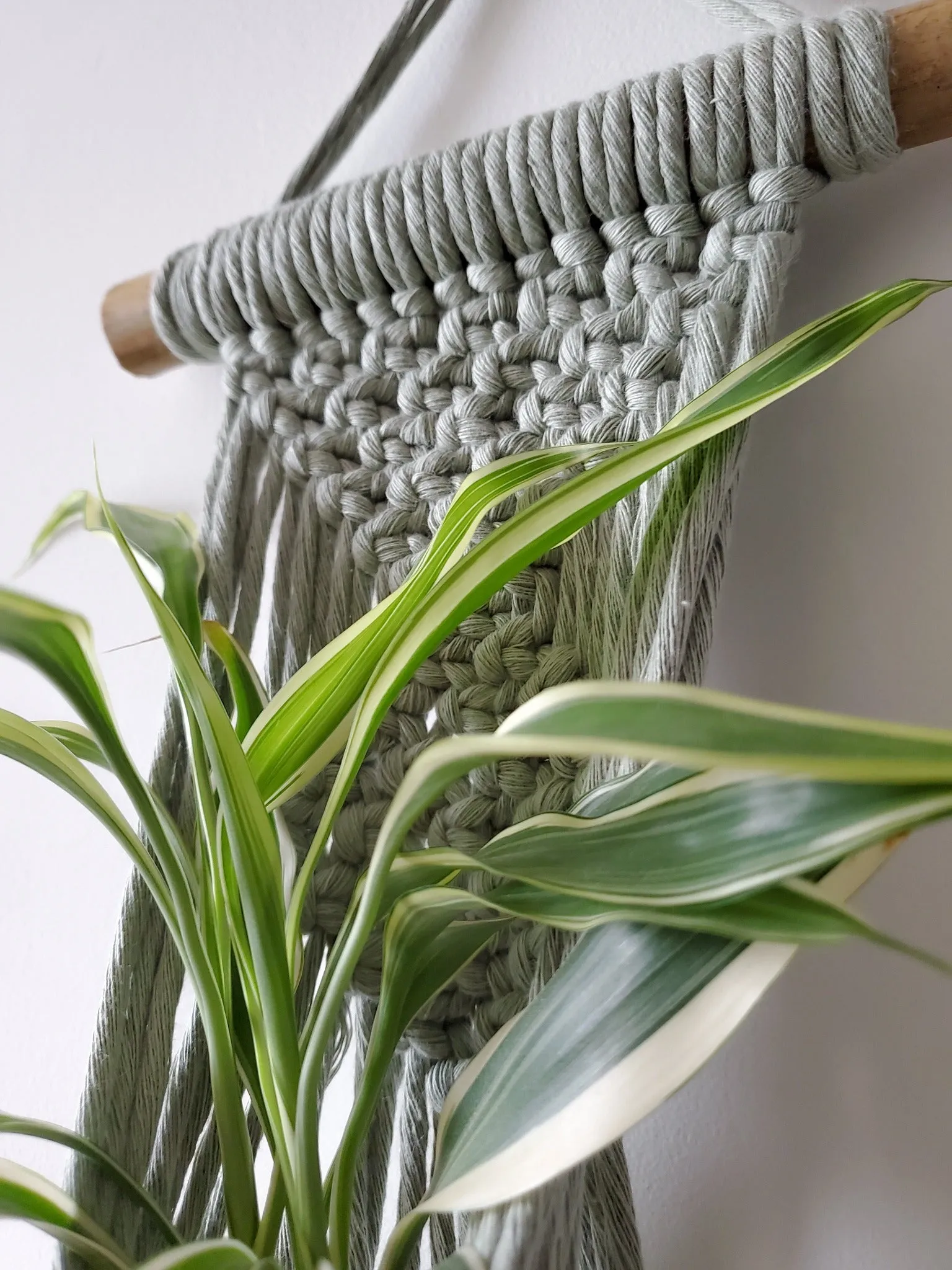 Macrame Plant Hanger - Handmade with Natural Cotton Rope - Perfect for Home Decor and Gift Giving